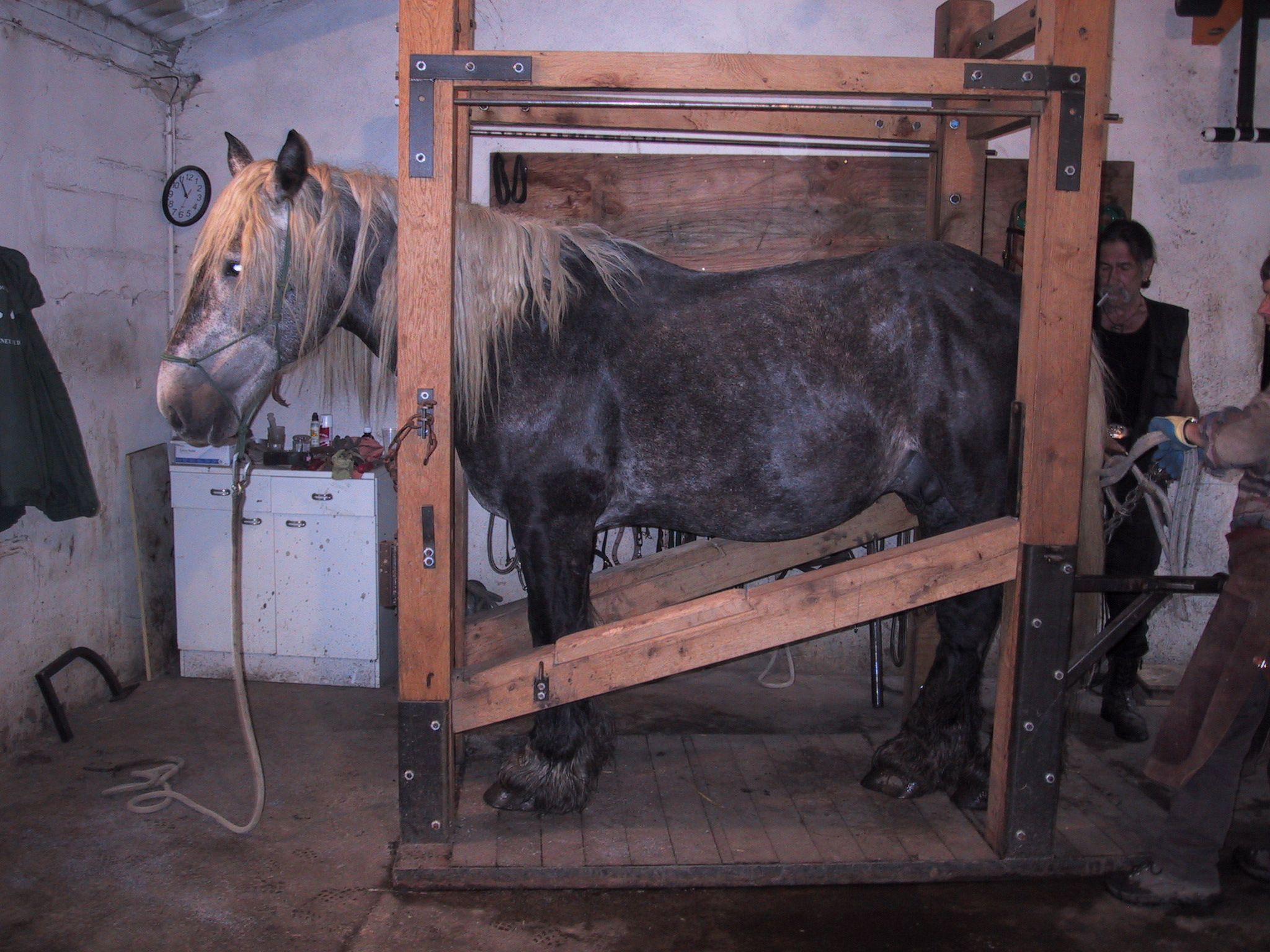 Voiture à chevaux pas à pas fait main forgeron forgé à la main - France